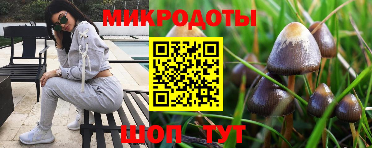 Псилоцибиновые грибы Magic Shrooms  Псилоцибиновые грибы прущие грибы  Верхняя Пышма  Вход с VPN 
