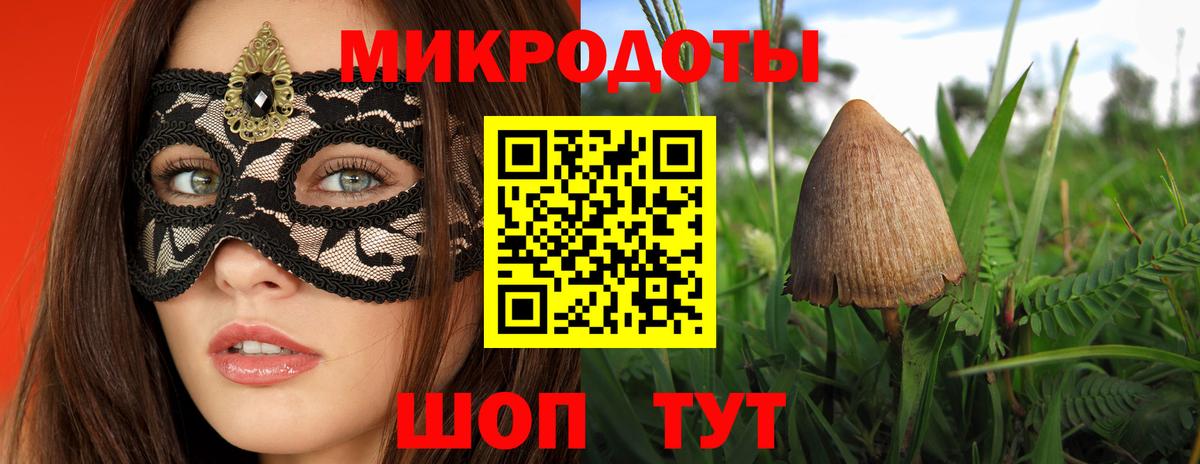 Галлюциногенные грибы Psilocybine cubensis Верхняя Пышма